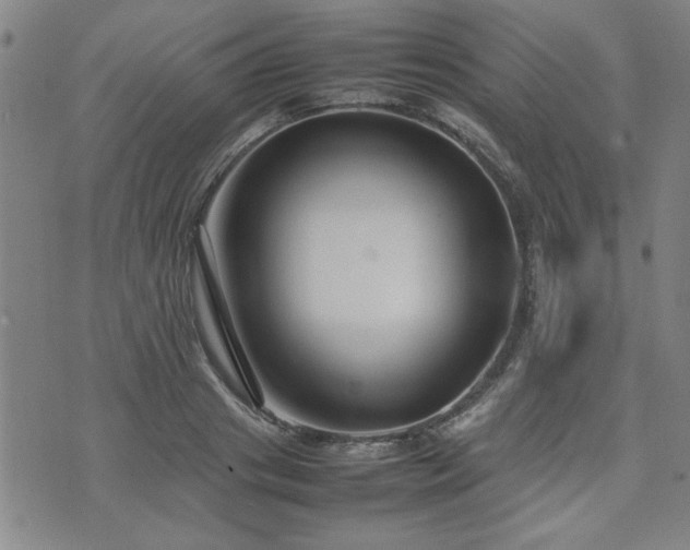 X0000074930841200609011048