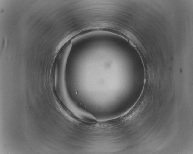 X0000074930842200609011048