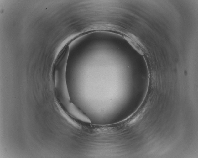 X0000074930846200609011048