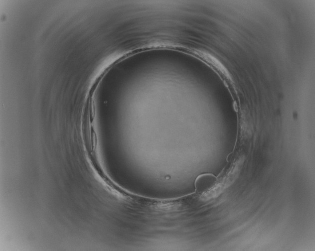 X0000074930847200609011048