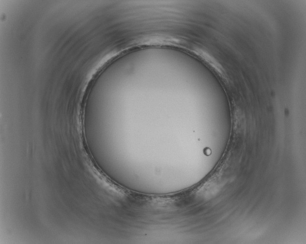 X0000074930848200609011048