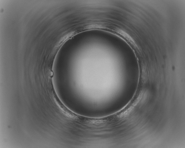 X0000074930849200609011049