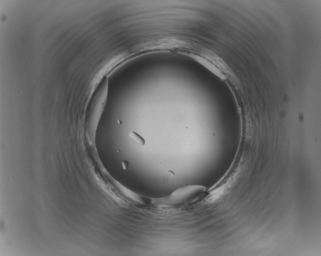 X0000074930850200609011049