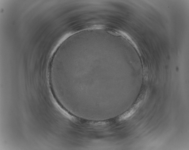 X0000074930851200609011049