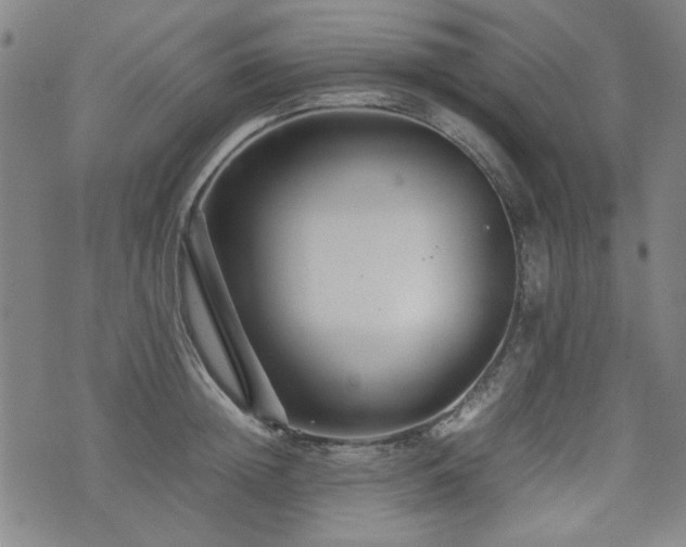 X0000074930852200609011049