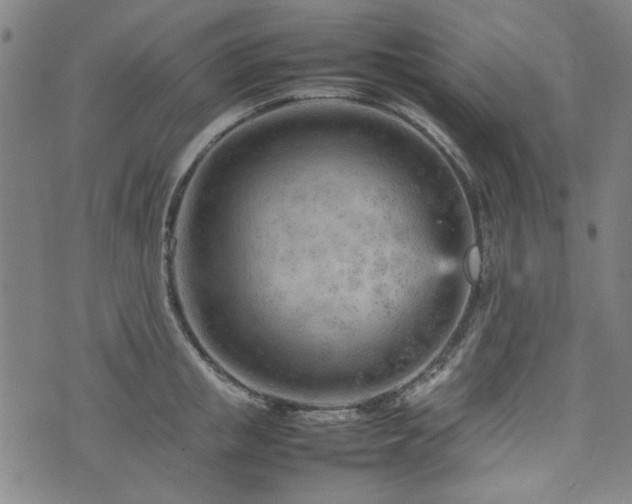 X0000074930853200609011049