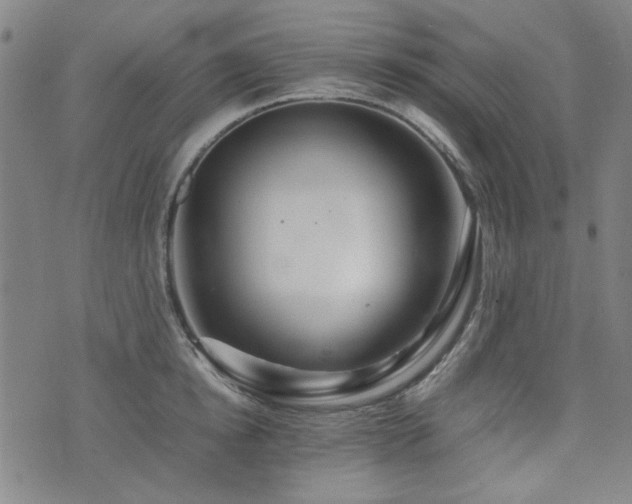 X0000074930854200609011049