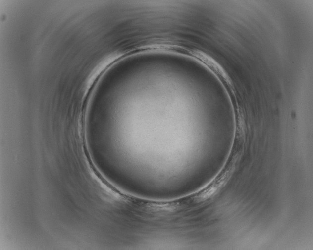 X0000074930855200609011049