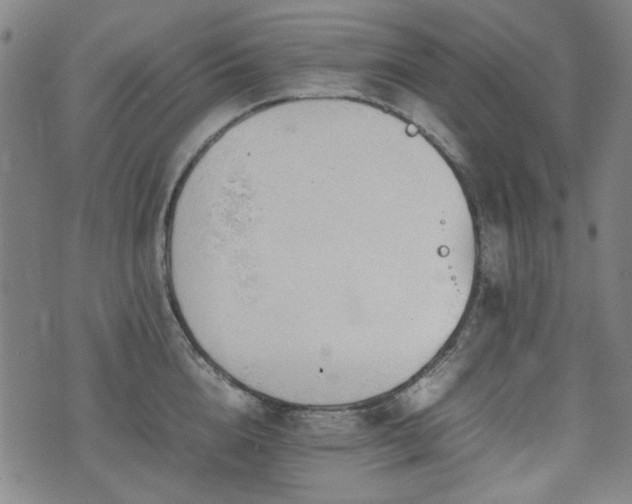 X0000074930856200609011049