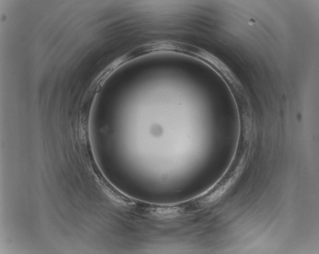 X0000074930857200609011049