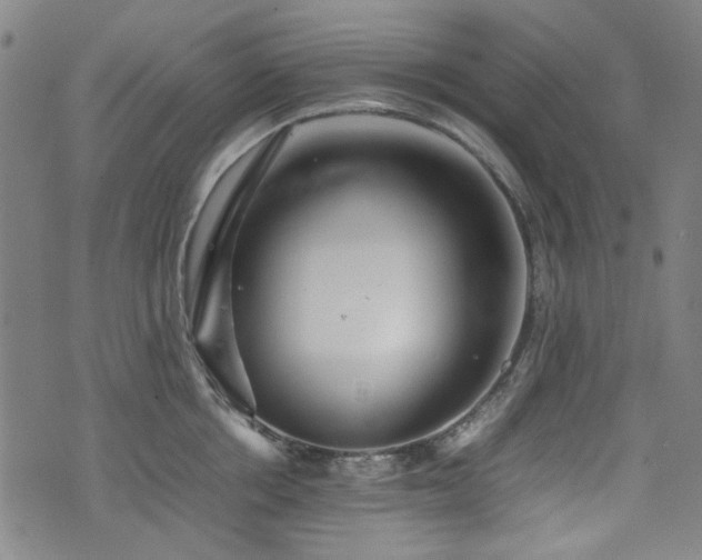 X0000074930858200609011049