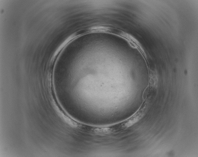 X0000074930859200609011049