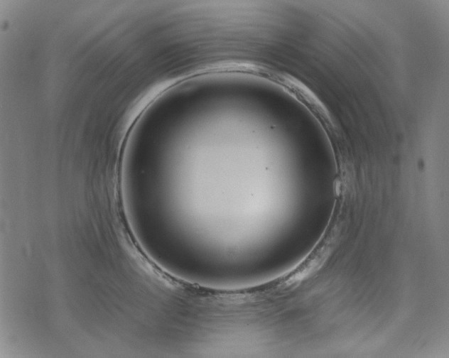 X0000074930860200609011049