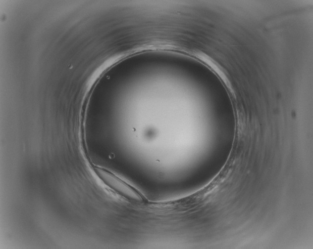 X0000074930861200609011049