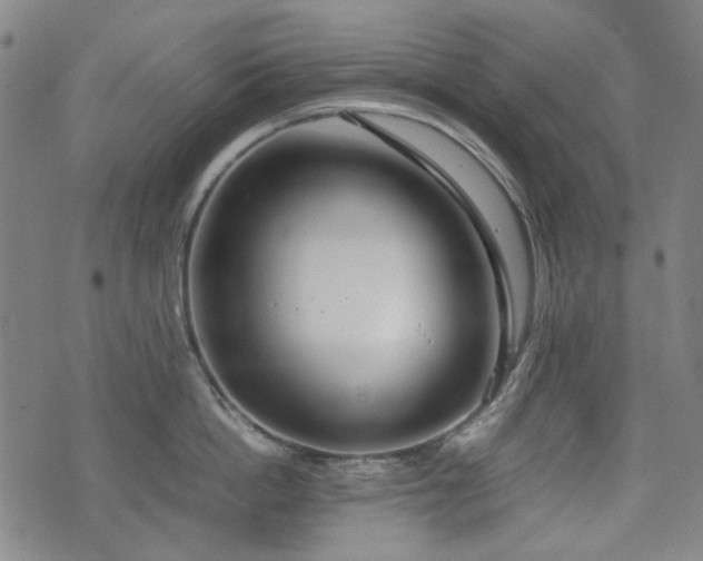 X0000074930862200609011049