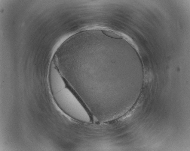 X0000074930863200609011049