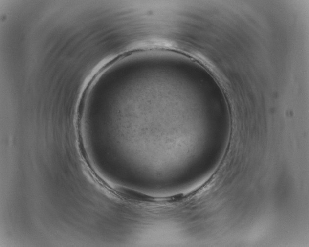 X0000074930864200609011049