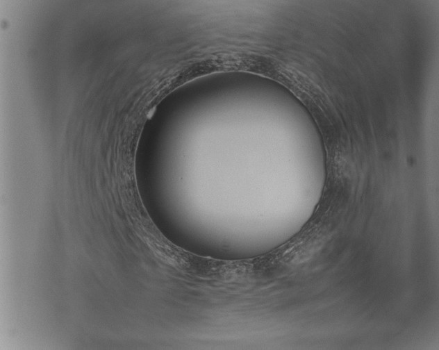 X0000074930865200609011048