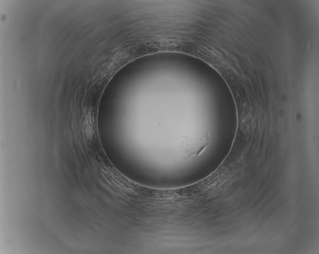 X0000074930866200609011048