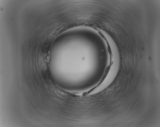 X0000074930868200609011048