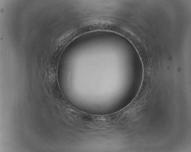 X0000074930869200609011048