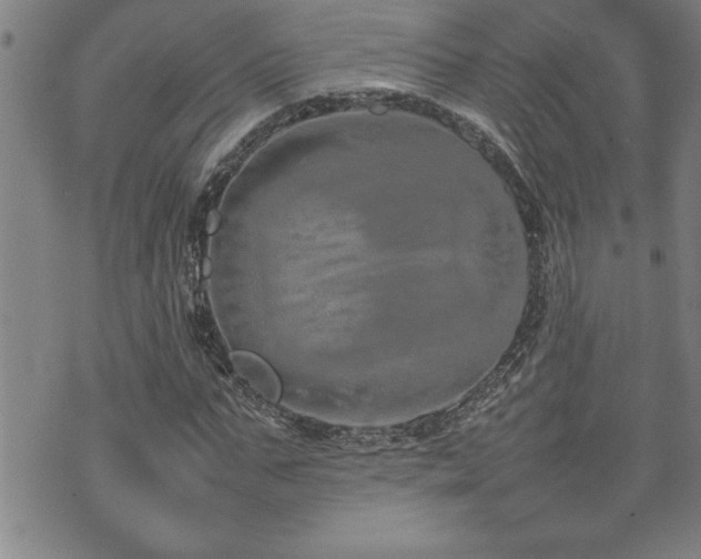 X0000074930871200609011048