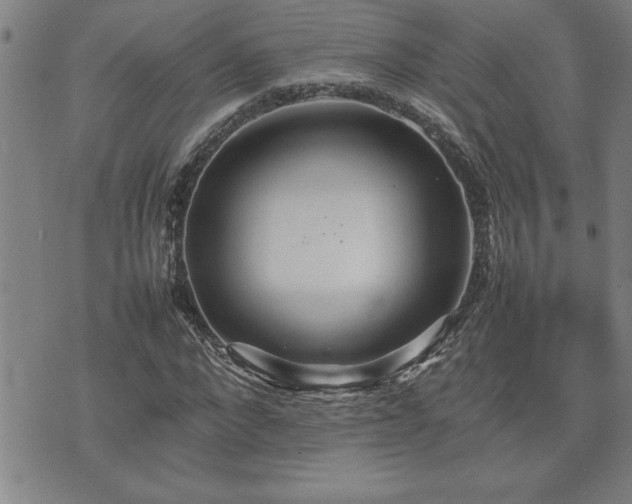 X0000074930872200609011048