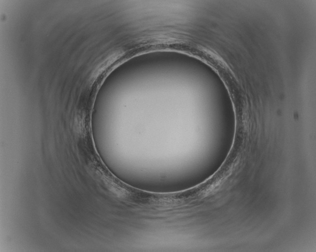 X0000074930873200609011048