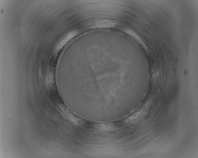 X0000074930874200609011048