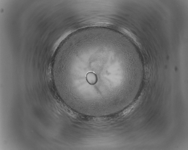 X0000074930875200609011048