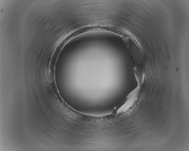 X0000074930876200609011048