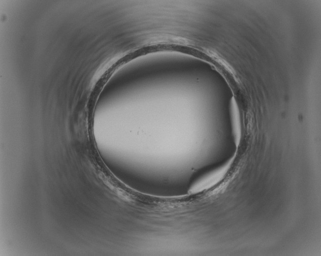 X0000074930877200609011048