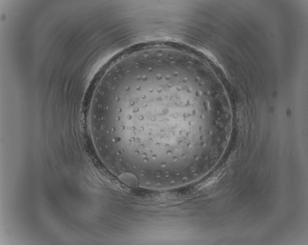 X0000074930879200609011048