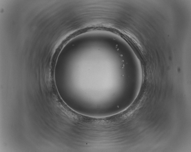 X0000074930880200609011048