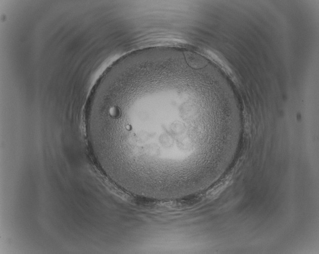 X0000074930883200609011048