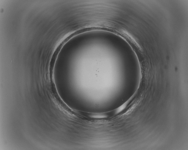 X0000074930884200609011048