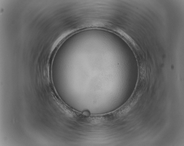 X0000074930886200609011048