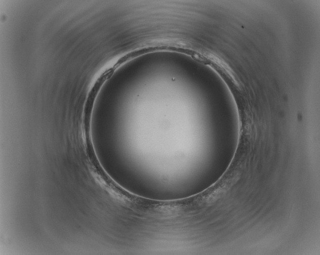 X0000074930888200609011048