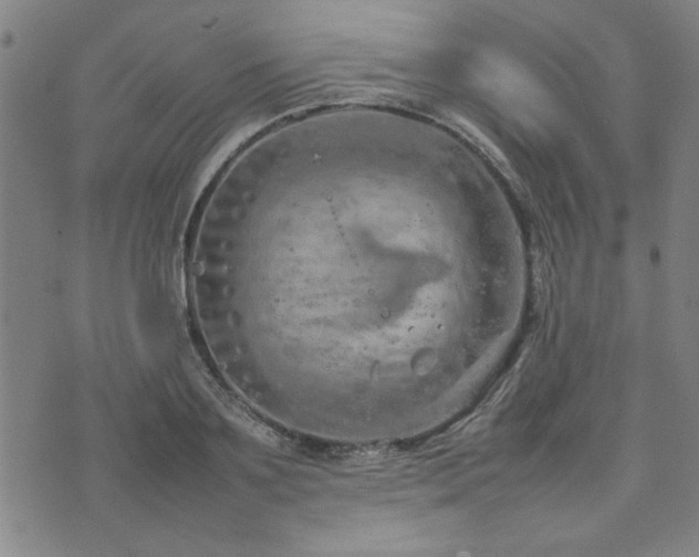 X0000074930891200609011048