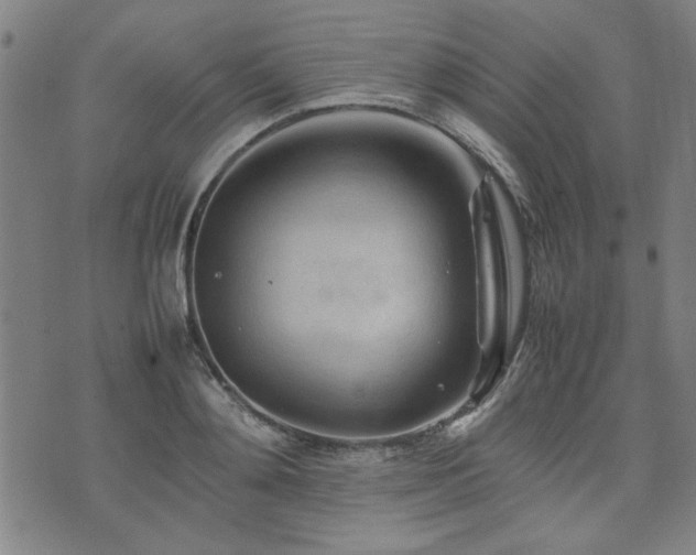 X0000074930892200609011048