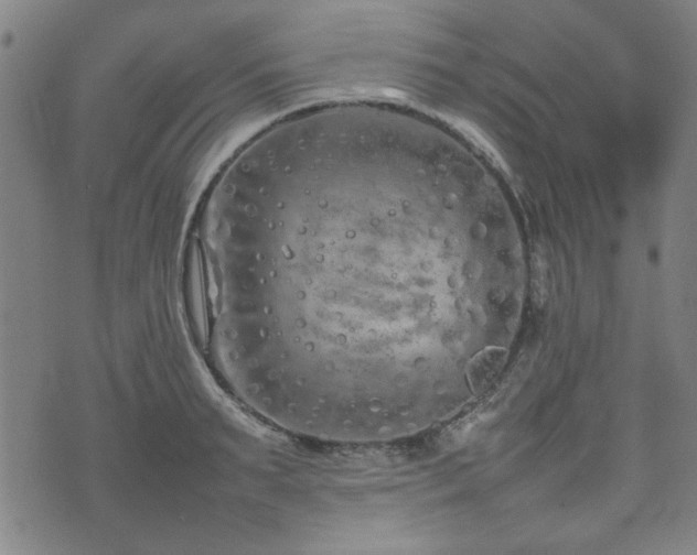 X0000074930895200609011047