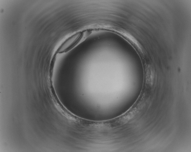 X0000074930896200609011047