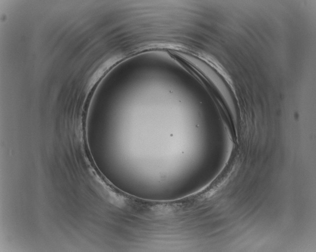 X0000074930898200609011047