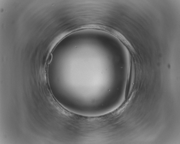 X0000074930908200609011047