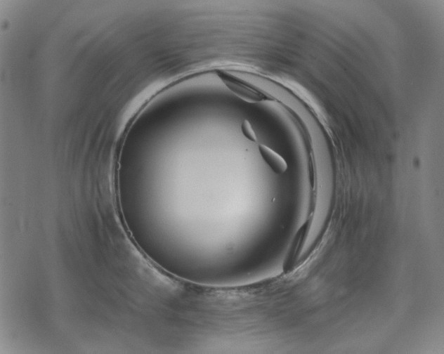 X0000074930910200609011047