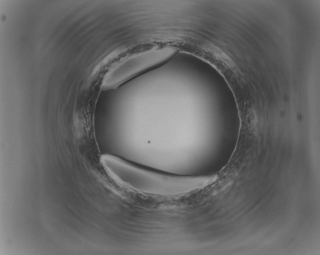 X0000074930920200609011047