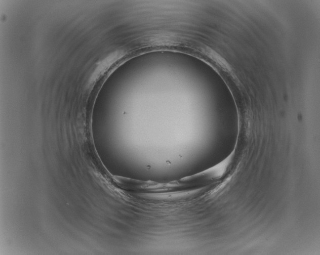 X0000074930930200609011047