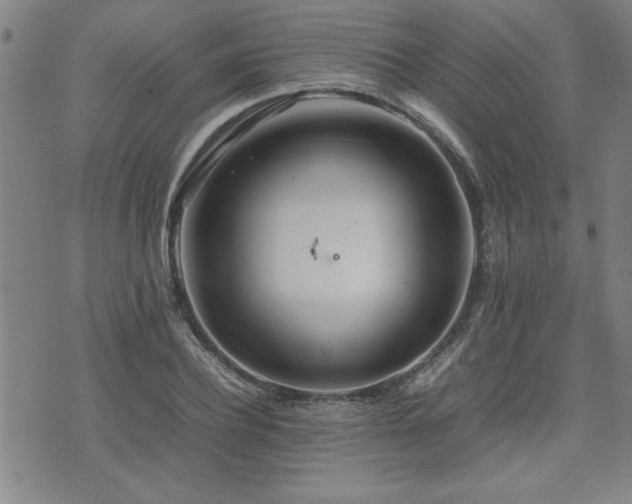 X0000074930932200609011047