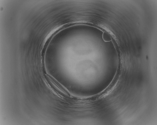 X0000074930933200609011047