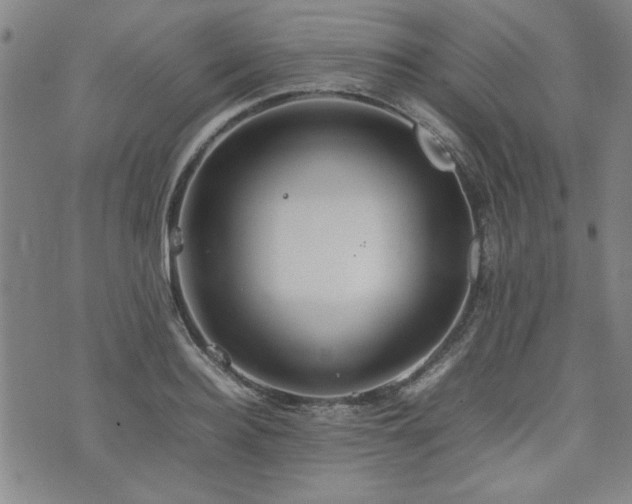 X0000074930940200609011047